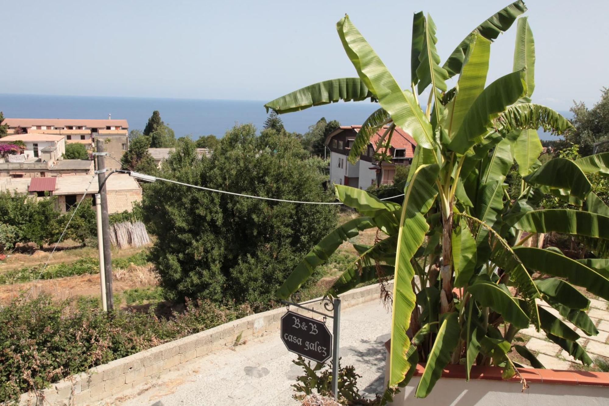 Bed And Breakfast casagalez Santa Domenica  Exterior foto