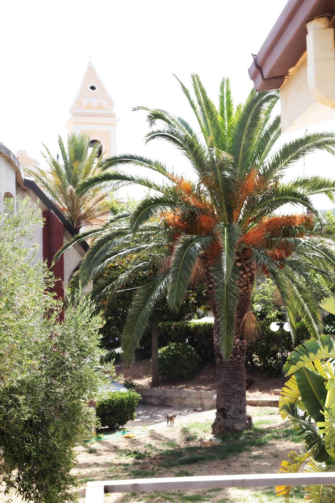Bed And Breakfast casagalez Santa Domenica  Exterior foto
